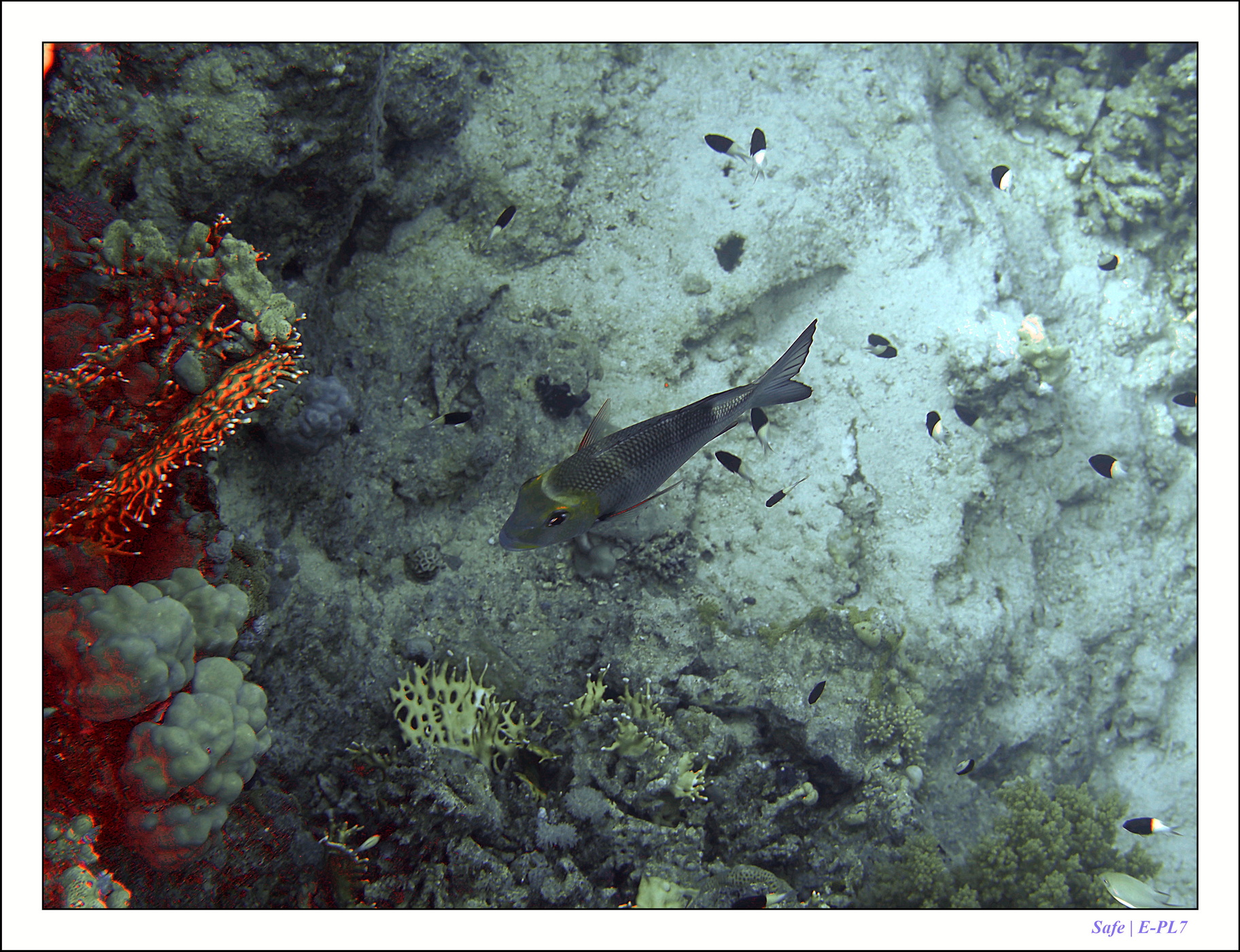 2023 - 03 - Charm El Sheikh - 17